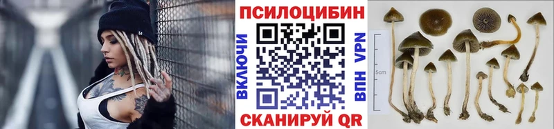 Купить где  Нягань  Галлюциногенные грибы MAGIC MUSHROOMS 